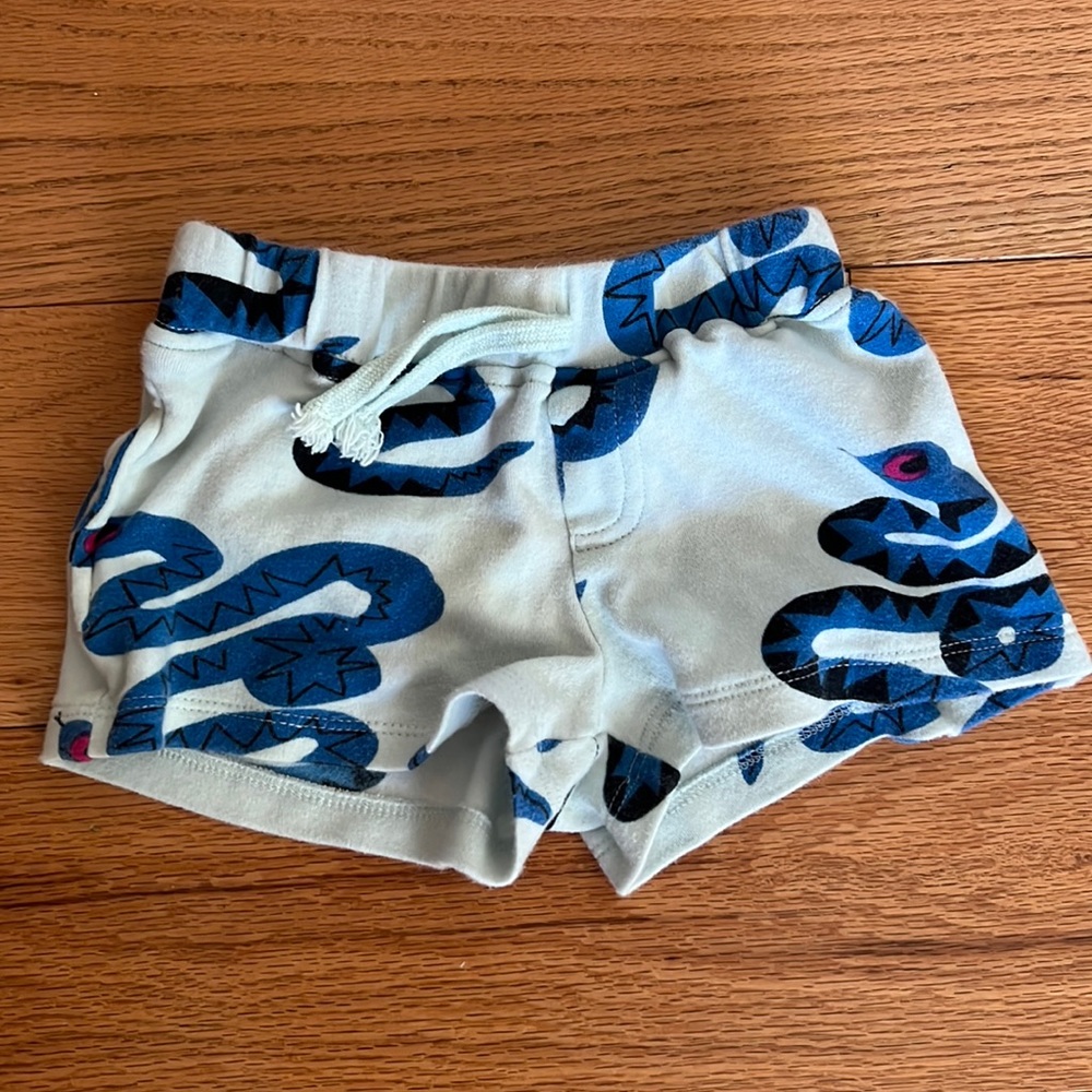Snake print shorts!
